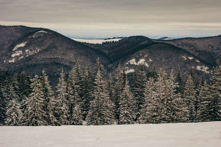 A snow covered mountain travelの写真素材