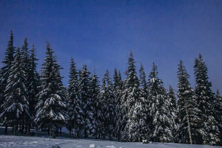 A man riding on top of a snow covered slopeの写真素材