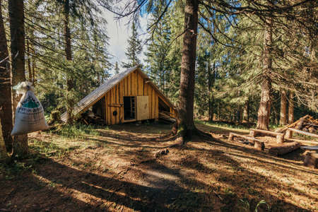 An old barn in a forestの写真素材