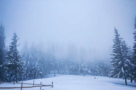 A person riding a snowboard down a snow covered slopeの写真素材