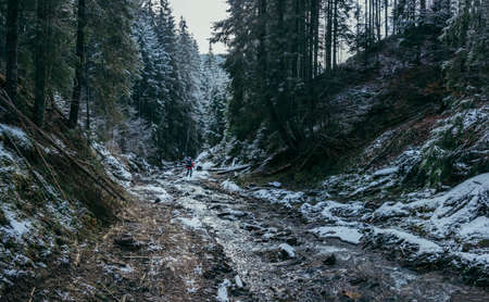 A waterfall in a forestの写真素材