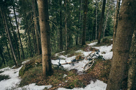 A pile of snow next to a forest