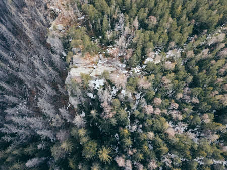 A tree with a mountain in the backgroundの写真素材