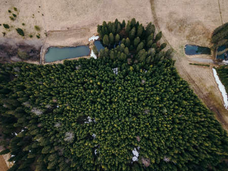 A close up of a garden a mountainの写真素材