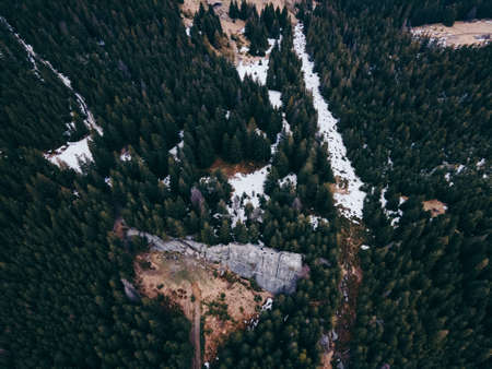 A tree with a mountain in the background