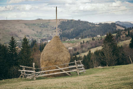 A herd of sheep standing on top of a mountainの写真素材