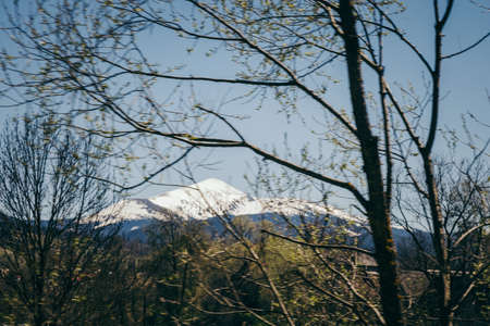 Mountain in the snow, dense forest and mountainsの写真素材