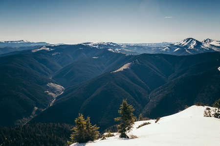 Mountains, coniferous forest in the snow, spring, winterの写真素材