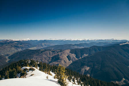 Mountains, coniferous forest in the snow, deforestation, springの写真素材