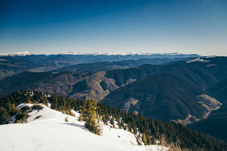 Mountains, coniferous forest in the snow, deforestation, springの写真素材