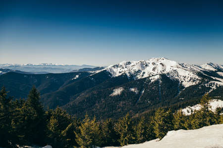 Winter mountains remnants of snow, spring, coniferous forestの写真素材
