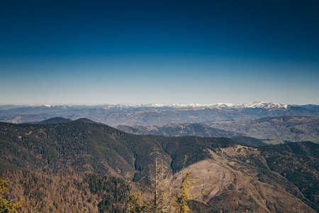 Mountains, coniferous forest in the snow, deforestation, springの写真素材