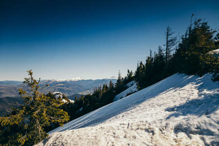Winter mountains remnants of snow, spring, coniferous forestの写真素材