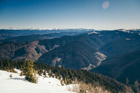 Mountains, coniferous forest in the snow, deforestation, springの写真素材