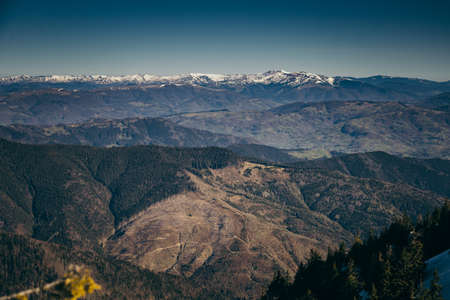 Winter mountains remnants of snow, spring, coniferous forestの写真素材
