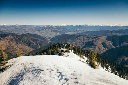 Mountains, coniferous forest in the snow, deforestation, springの写真素材
