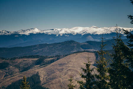 Snow-capped mountains, meadow and coniferous forest, spring, winterの写真素材