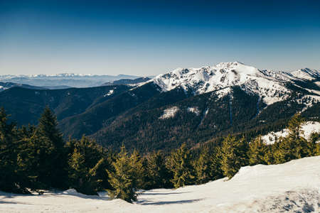 Winter mountains remnants of snow, spring, coniferous forestの写真素材