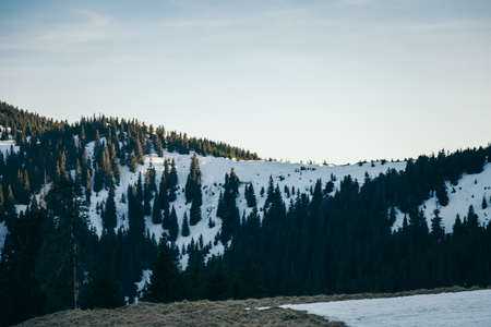 Snow-capped mountains and coniferous forest on a background of peaksの写真素材