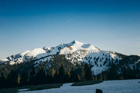 Snow-capped peak and meadow in the mountains coniferous forest, springの写真素材