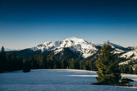 Winter mountains snow, coniferous forest, spring, snow-covered meadowの写真素材