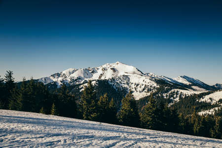 Winter mountains snow, coniferous forest, spring, snow-capped peakの写真素材