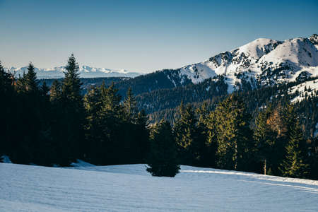 Winter mountains snow, coniferous forest, spring, snow-covered meadowの写真素材