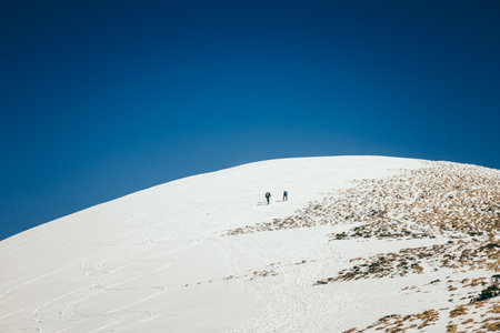 Snow in the mountains, coniferous forest, spring and winterの写真素材