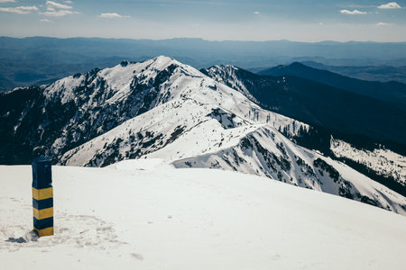 Snow in the mountains, coniferous forest, spring blue skyの写真素材