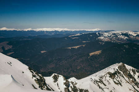 Snow in the mountains, coniferous forest, spring blue skyの写真素材