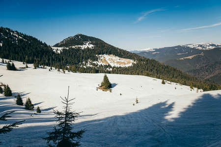 Snowy road in the mountains, coniferous forest, springの写真素材