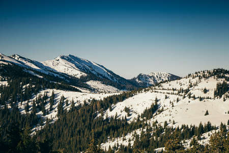 Winter mountains snow, coniferous forest, spring, snow-capped peakの写真素材