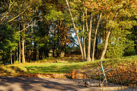 Scooter on a special site in the autumn park.の写真素材