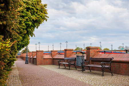 A walking path with benches and trees in the recreation area on the embankment.の写真素材