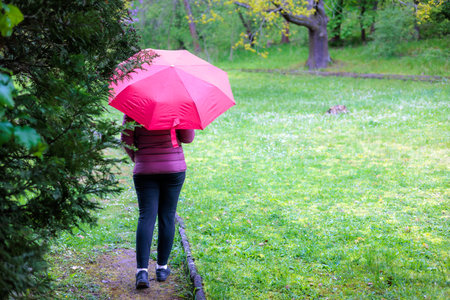 A woman under a red umbrella walks along the path of a park. High quality photoの写真素材