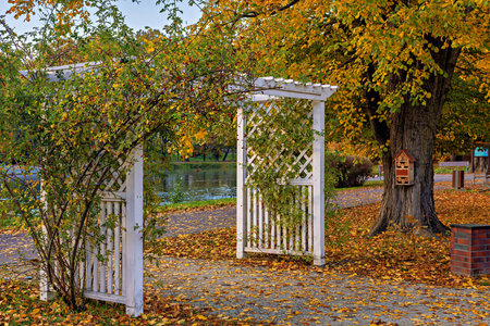 White pergola in a city autumn park against the background of yellow autumn trees.の写真素材