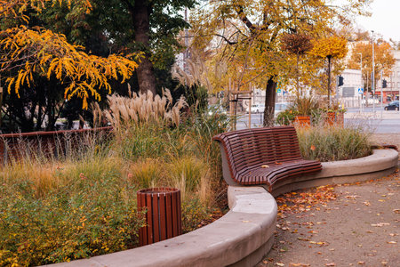 A beautiful wooden bench near a flowerbed in an autumn park.の写真素材