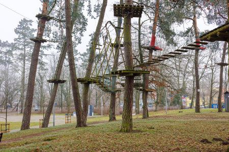 Rope park with hanging bridges on pine trees in the city park. High quality photo