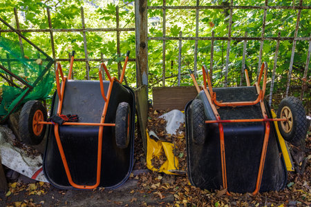 Two overturned garden wheelbarrows lie near a metal fence in the garden. The wheelbarrows' plastic...