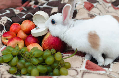 Engagement ring with a blue stone in a white boxの写真素材