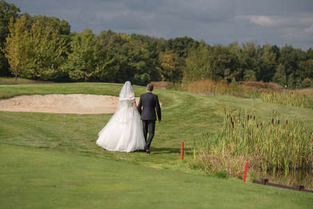 The bride and groom go holding hands on the lawnの写真素材