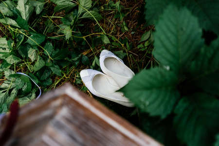 White wedding shoes on the grass under leaf of wild grapesの写真素材