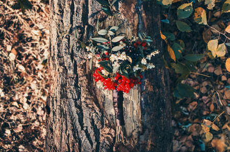 Autumn bouquet of viburnum and white and black berriesの写真素材