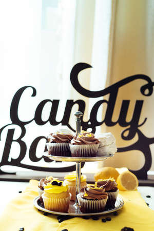 Holiday candy bar. Candy bar served with cupcakes with chocolate and lemon cream on stumpの写真素材