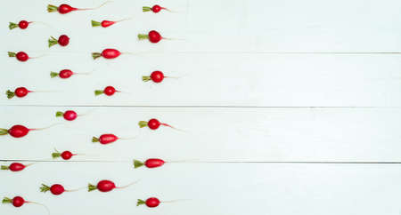 Fresh organic red radishes with tops on white wooden background. Top view. Vegetable background. Free space for textの写真素材