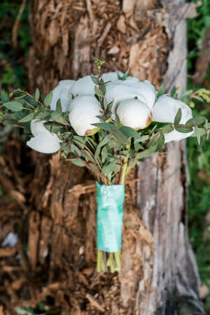 Wedding bouquet of fresh peonies on stump, selective focus. Close-up of wedding flower. Wedding peony bouquetの写真素材