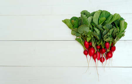 Bunch of fresh organic red radish with tops and green leaves on white wooden background. Vegetable background. Free space for text, top viewの写真素材