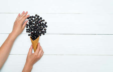 Top view of waffle cone with sweet fresh blackcurrants in girl's hand, free space. Fresh black currant in cone on white wooden background with blank space. Summer and healthy food concept flat layの写真素材