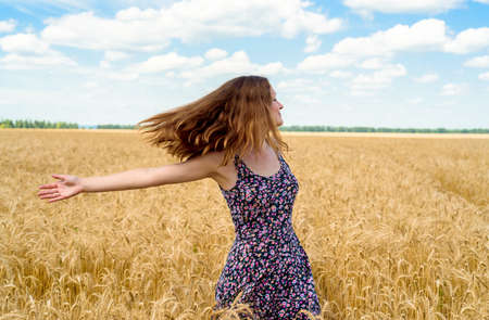 Beautiful young woman walking in golden wheat field with cloudy blue sky background, free space. Liberty, peace of mind concept. Girl in spikes of ripe wheat field under blue sky の写真素材