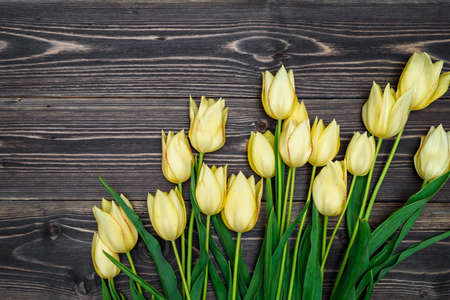 Spring background with bunch of tulip flowers, copy space. Yellow tulips on wooden background. Flat lay, top view. Holiday greeting card for Valentine's Day, Woman's Day (March 8, Mother's Day, Easterの写真素材